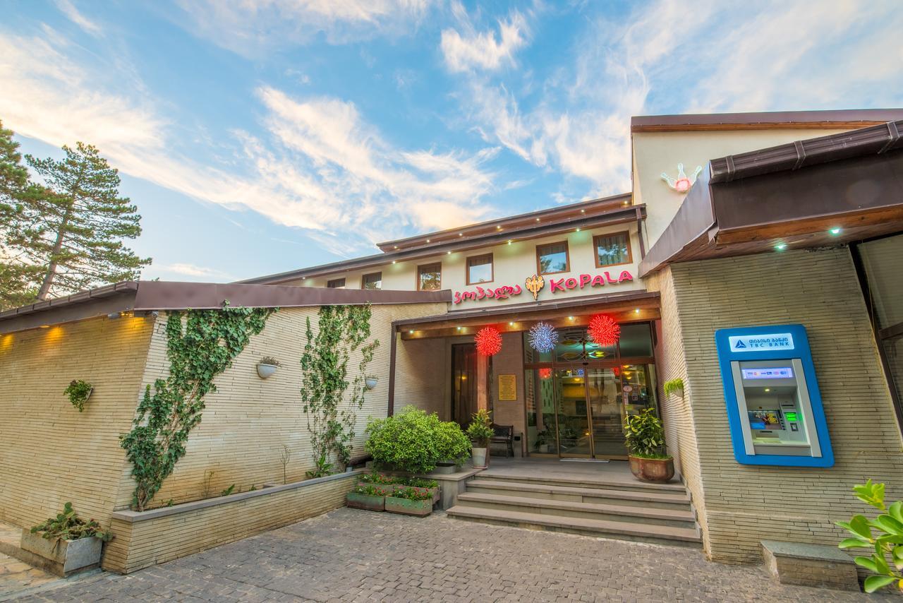Kopala Tskneti Hotel Tsqnet'i Luaran gambar